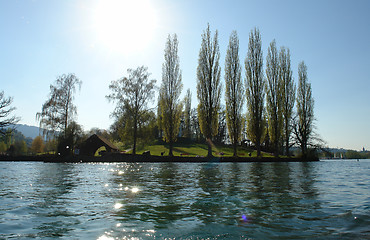 Image showing trees on the island