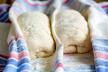 Image showing Dough for Italian ciabatta bread.
