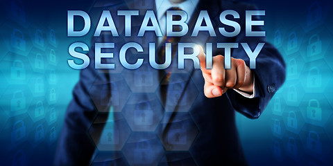 Image showing Librarian Pushing DATABASE SECURITY Onscreen