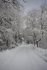 Image showing winterway