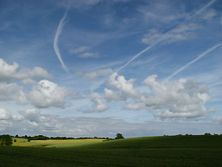 Image showing wheat + clouds