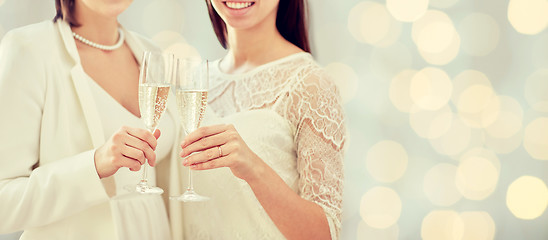 Image showing close up of lesbian couple with champagne glasses