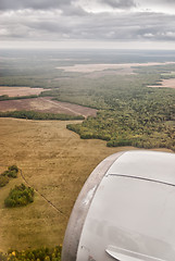 Image showing Aerial view of summer field