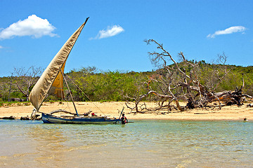 Image showing pirogue beach seaweed in indian ocean   and rock