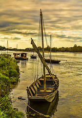 Image showing Wooden Boats on Loire Valley