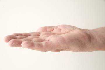 Image showing Man holds his hand palm up