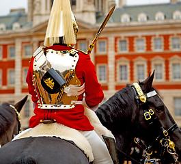 Image showing in london england horse and cavalry for    the queen