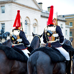 Image showing in london england horse and cavalry for    the queen