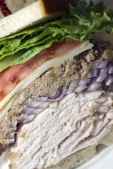 Image showing large new york combo sandwich