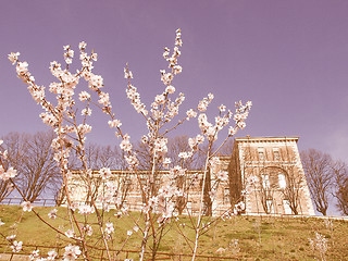 Image showing Castello di Rivoli, Italy vintage