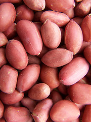 Image showing Many peanuts