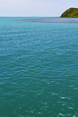 Image showing   green lagoon and tree  kho phangan