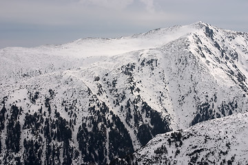 Image showing Pirin hills