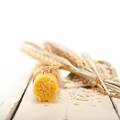 Image showing organic Raw italian pasta and durum wheat 