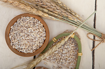 Image showing organic barley grains