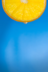 Image showing orange slice