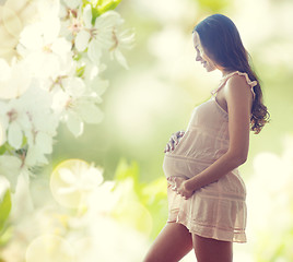Image showing happy pregnant woman in chemise