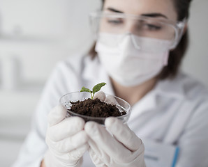 Image showing close up of scientist with plant and soil in lab