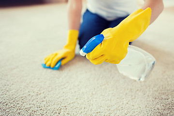 Image showing close up of woman with cloth cleaning carpet