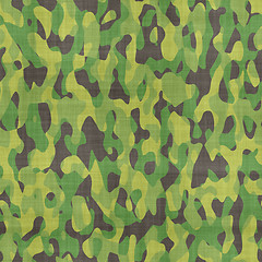 Image showing camouflage material