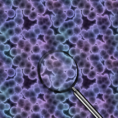 Image showing cells even closer