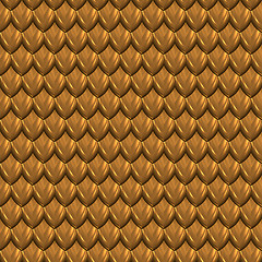 Image showing dragonskin