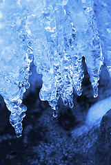 Image showing Winter natural background with icicles
