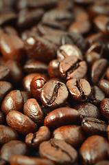 Image showing roasted coffee beans