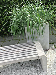 Image showing Detail of a garden with decorative grass and bench