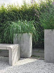 Image showing Garden with decorative grass, concrete and stone