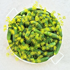Image showing Tray with fresh green cucumbers and dill