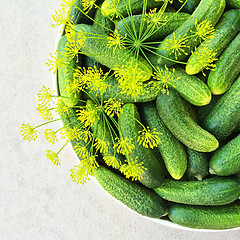 Image showing Fresh cucumbers decorated with dill flowers