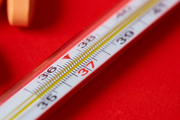 Image showing Mercury thermometer and medical pills on background