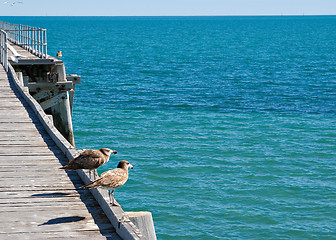 Image showing looking out to sea