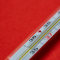 Image showing Medical mercury thermometer