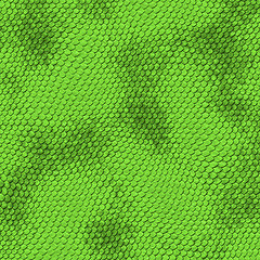 Image showing green snake skin