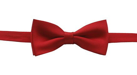 Image showing bow tie