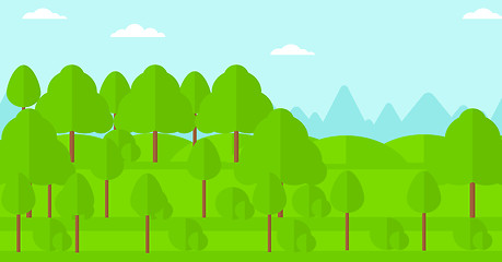 Image showing Background of green forest.