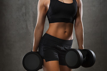 Image showing young woman flexing muscles with dumbbells in gym