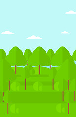 Image showing Background of green forest.