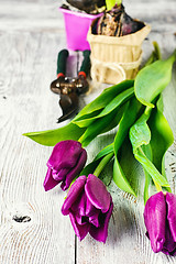 Image showing Still life with spring flowers