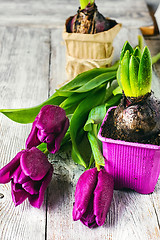 Image showing Still life with flowers