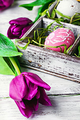 Image showing Easter composition with tulips