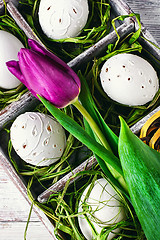 Image showing Easter composition with tulips