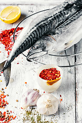 Image showing Carcasses frozen mackerel