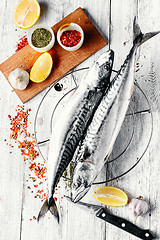 Image showing Carcasses frozen mackerel