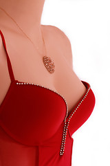 Image showing Mannequin in bodice