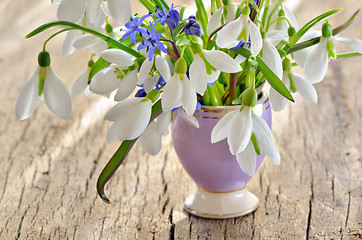 Image showing Bunch of Crocus and Snowdrops in a glass vase