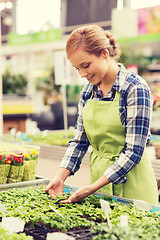 Image showing happy woman taking care of seedling in greenhouse