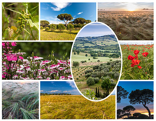 Image showing Collage of the hills in Tuscany